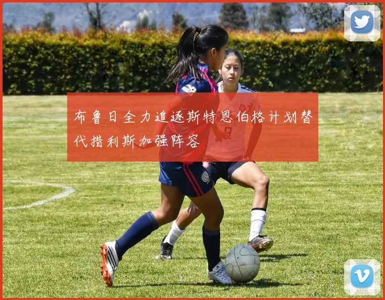 布鲁日全力追逐斯特恩伯格计划替代措利斯加强阵容